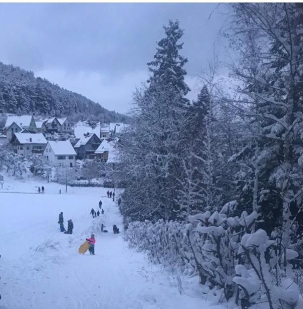 Ferienwohnung am Tor zum Thüringer Wald Plaue  Exterior foto